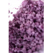 Соль для ванны  Bath Salts Aphrodisia с цветочным ароматом - 75 гр.