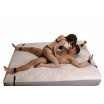 Бондаж для фиксации на кровати Frisky Bedroom Restraint Kit