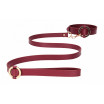 Бордовый ошейник с поводком Collar With Leash