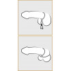 Лассо для пениса Double Cock Loop