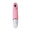 Вибронабор Satisfyer Marvelous Four
