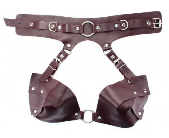Бордовая сбруя из ошейника с лифом Maroon Harness