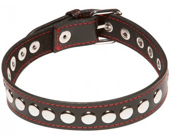 Проклёпанный ошейник X-Play Riveted Collar